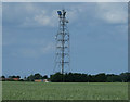 TF4213 : Telecommunications mast at Newton near Wisbech by JThomas