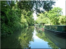 ST7862 : Kennet & Avon Canal - Just north of Dundas by Rob Farrow