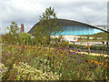 Summer flowers in the Olympic Park