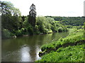 The River Wye