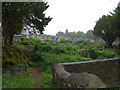 St Padarn, Llanbadarn Fawr: churchyard (xiii)