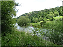 SO5616 : The River Wye below Coppet Hill by David Purchase