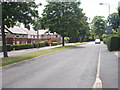 Bates Avenue - viewed from Kingsley Avenue