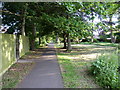 Tree line path in the Aldwick Felds