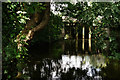 Weir on the River Wey