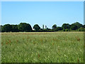 Field near Gatwick Airport