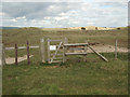 SS7882 : Gate on fence at Kenfig Burrows by eswales