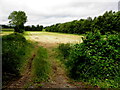 Cullentra Townland