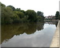 SJ4913 : River Severn from Severn Bank, Shrewsbury by Jaggery