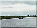 SE6921 : Narrowboat on the Aire & Calder, Rawcliffe Bridge by Christine Johnstone