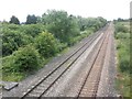 View north from Withy Bridge