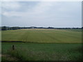 NO5134 : Farmland at Balhungie by Douglas Nelson