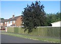 Tidy fencing - Anglesey Avenue