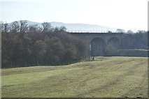 SD9153 : Viaduct over the River Aire by N Chadwick