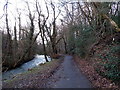 Public footpath through St David