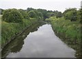 The River Brue