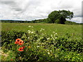 Lettery Townland