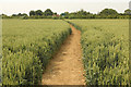 Footpath to Halfway Houses