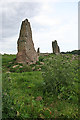 Old Bourtreebush Stone Circle (2)