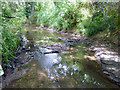 River Mole near Langley Green