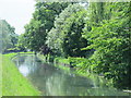 The New River by Mill Lane Allotment