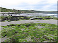 Carne Beach Cornwall