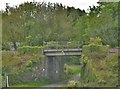 Railway Bridge On The Scleddau Road