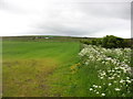 Farmland near Greenvale