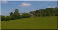 Severn valley downstream of Aberhafesp