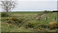 NZ2495 : Ditch, Widdrington Moor by Richard Webb