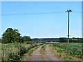 Farm track, Bulphan Fen