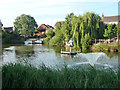 Pond, Southfields, Orsett