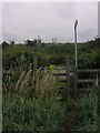 Footpath crosses the A47