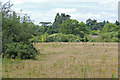 Field near Stoke Green