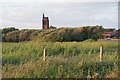 Overgrown corner of Waterloo Marine Lake