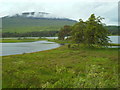 NN2841 : Loch Tulla, near Bridge of Orchy by Malc McDonald