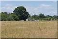 Fields near Stoke Green