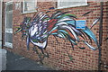 View of a colourful bird on a wall in Wallis Road