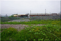 SJ8696 : Waste land next to Longsight Depot by Bill Boaden
