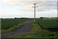 Footpath across Halsall Moss from Carr Moss Lane