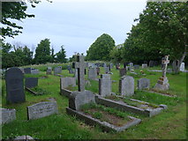 SS4728 : St. Peter, Westleigh: churchyard (iii) by Basher Eyre