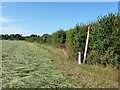 Footpath along hedgerow with gas pipeline markers