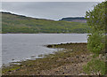 Loch Eil shore at Blaich/Blathaich