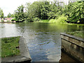 Horstead mill-pond on the River Bure