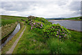 SD9633 : Rhododendrons by Walshaw Dean Middle Reservoir by Bill Boaden