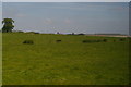 Heath Farm from the railway