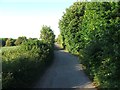 Lighthouse Road, St. Margaret