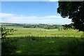 Fields near Bilton