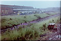 SJ8894 : Reddish Locomotive Depot, 1981 by Nigel Thompson