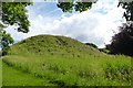 Morpeth motte